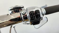 2013 Harley-Davidson Fat Boy 103 (FLSTF) Softail Gold