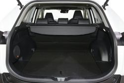 2024 Toyota
                RAV4 Cruiser