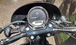 2019 Harley-Davidson Street 500 (XG500) Street Black
