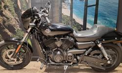2019 Harley-Davidson Street 500 (XG500) Street Black