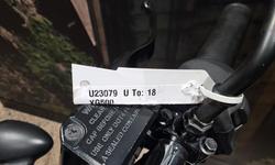 2019 Harley-Davidson Street 500 (XG500) Street Black