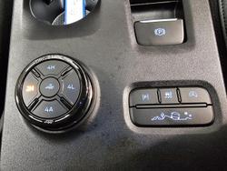 2024 Ford
                Everest Trend