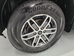 2024 Ford
                Everest Trend