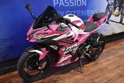 2021 Kawasaki 2021 Kawasaki 400CC NINJA 400 SPECIAL EDITION SPORTS Green