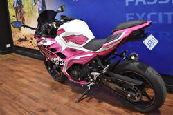 2021 Kawasaki 2021 Kawasaki 400CC NINJA 400 SPECIAL EDITION SPORTS Green