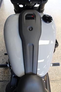 2025 Harley-davidson FXLRS LOW RIDER S (117)