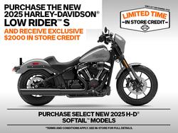 Harley-Davidson FXLRS LOW Rider S (117)