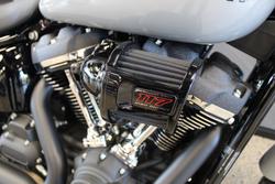 2025 Harley-davidson FXLRS LOW RIDER S (117)