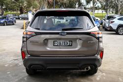 2025 Subaru Forester Hybrid S6 MY26 AWD Brilliant Bronze