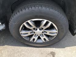 2019 Ford Everest Trend