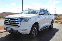 2023 GWM
                Ute Cannon-L