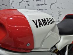 2024 Yamaha XSR900 GP XSR White