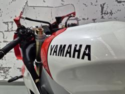 2024 Yamaha XSR900 GP XSR White