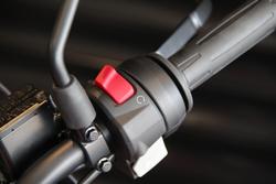 2025 BMW G 310 GS G 310 Red