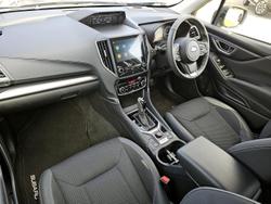 2024 Subaru Forester Hybrid L S5 MY24 AWD Brilliant Bronze
