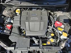 2024 Subaru Forester Hybrid L S5 MY24 AWD Brilliant Bronze