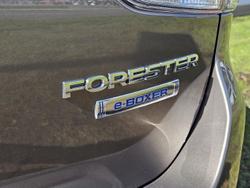 2024 Subaru Forester Hybrid L S5 MY24 AWD Brilliant Bronze