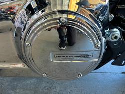 2025 Harley-davidson FXBR BREAKOUT (117) Vivid Black