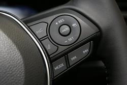 2025 Toyota
                RAV4 Cruiser