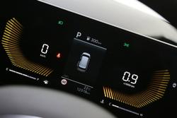 2024 Kia
Carnival S
