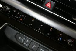 2024 Kia
Carnival S