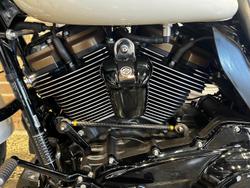 2023 Harley-Davidson Street Glide ST 117 (FLHXST) Touring White