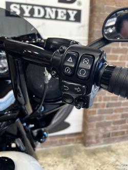 2023 Harley-Davidson Street Glide ST 117 (FLHXST) Touring White