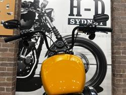2025 Harley-Davidson Street Bob 117 (FXBB) Softail