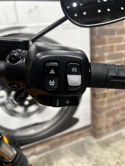 2025 Harley-Davidson Street Bob 117 (FXBB) Softail