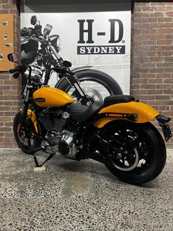 2025 Harley-Davidson Street Bob 117 (FXBB) Softail