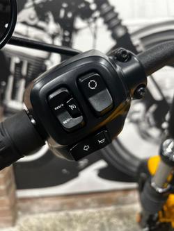 2025 Harley-Davidson Street Bob 117 (FXBB) Softail