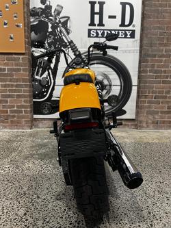 2025 Harley-Davidson Street Bob 117 (FXBB) Softail