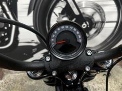 2025 Harley-Davidson Street Bob 117 (FXBB) Softail