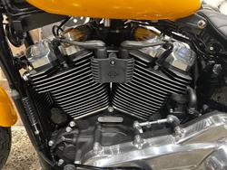 2025 Harley-Davidson Street Bob 117 (FXBB) Softail