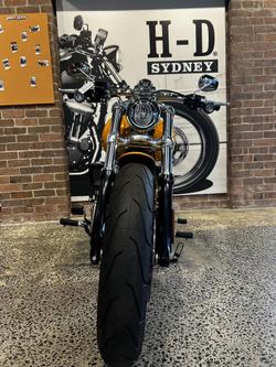 2025 Harley-Davidson Breakout 117 (FXBR) Softail
