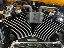 2025 Harley-Davidson Breakout 117 (FXBR) Softail