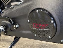 2025 Harley-Davidson Low Rider ST 117 (FXLRST) Softail