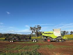 2017 CLAAS Lexion 770Tt