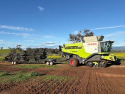 2017 CLAAS Lexion 770Tt