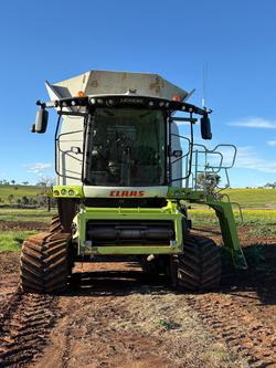 2017 CLAAS Lexion 770Tt