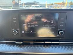 2021 Kia Carnival S KA4 MY21 Panthera Metal