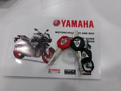 2023 YAMAHA MT-09A (MT-09) SILVER