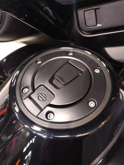 2025 Harley-Davidson Street Glide 117 (FLHX) Touring Black