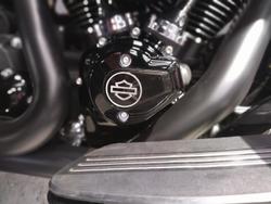 2025 Harley-Davidson Street Glide 117 (FLHX) Touring Black