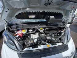 2025 Avan Ovation M10