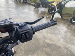 2022 HARLEY-DAVIDSON NIGHTSTER (RH975) Black