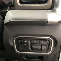 2024 GWM Cannon Lux NPW 4X4 Pearl White