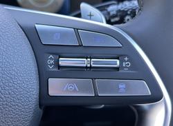 2025 Hyundai Palisade Calligraphy Black Ink