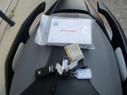 2025 Honda FORZA 350 (NSS350A) GREY