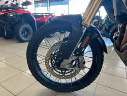 2022 Triumph Tiger 1200 Rally Pro Tiger Green